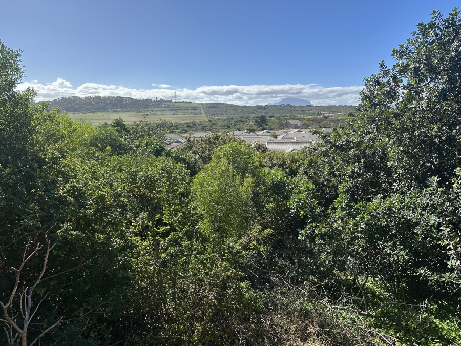 0 Bedroom Property for Sale in Tergniet Western Cape